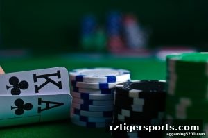 AG真人 rztigersports