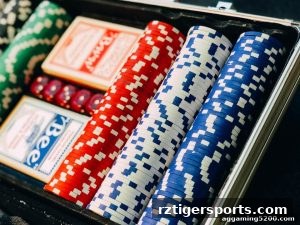 AG真人 rztigersports