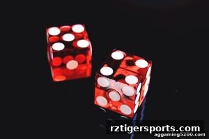 AG真人 rztigersports